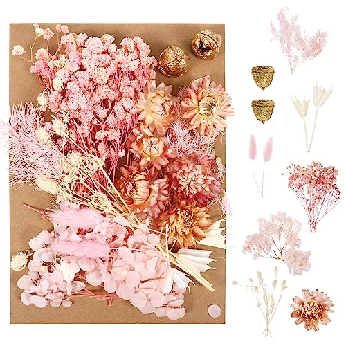 Opopark Natural Dried Flowers Set, Real Pressed Flowers for Scrapbooking, DIY Candles, Resin Jewelry Making, Crafts Home Decoration