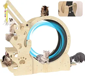 Upgraded Cat Wheel, Cat Running Wheel for Kitty's Longer LifeCat Exercise Wheel for Indoor Cats, Cat Treadmill with Cat House, Cat Stand CCC0111
