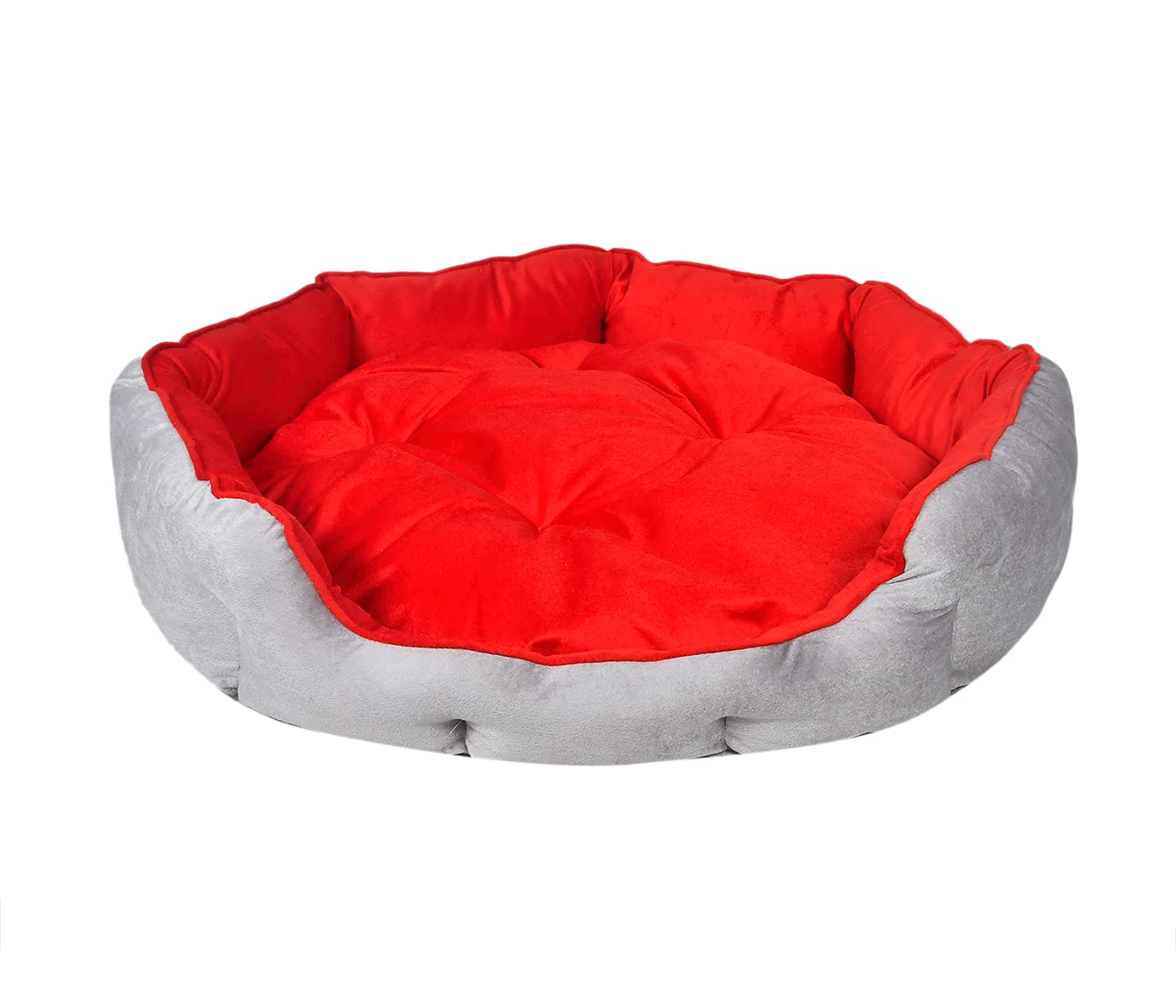 See full amazon price history chart for slatters be royal store Reversible Dual Ultra Soft Velvet Sky Blue Black Color Luxury Sofa Bed PET Bed | Dog Bed | CAT Bed | Puppies Puppy Bed | Rabbit Bed slatters be royal store Reversible Dual Ultra Soft Velvet Sky Blue Black Color Luxury Sofa Bed PET Bed | Dog Bed | CAT Bed | Puppies Puppy Bed | Rabbit Bed (B099Z3KLLG) Amazon Price History, Amazon Price Tracker