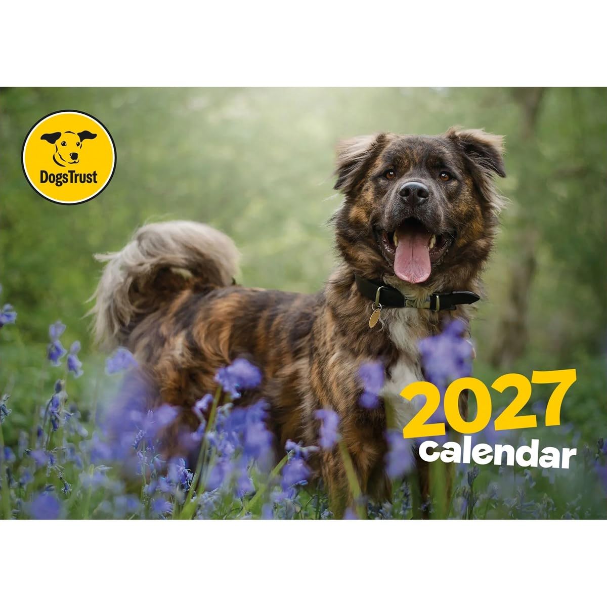 Dogs Trust A4 Calendar 2027, Wall Calendars, Month To View, Dogs, Gift