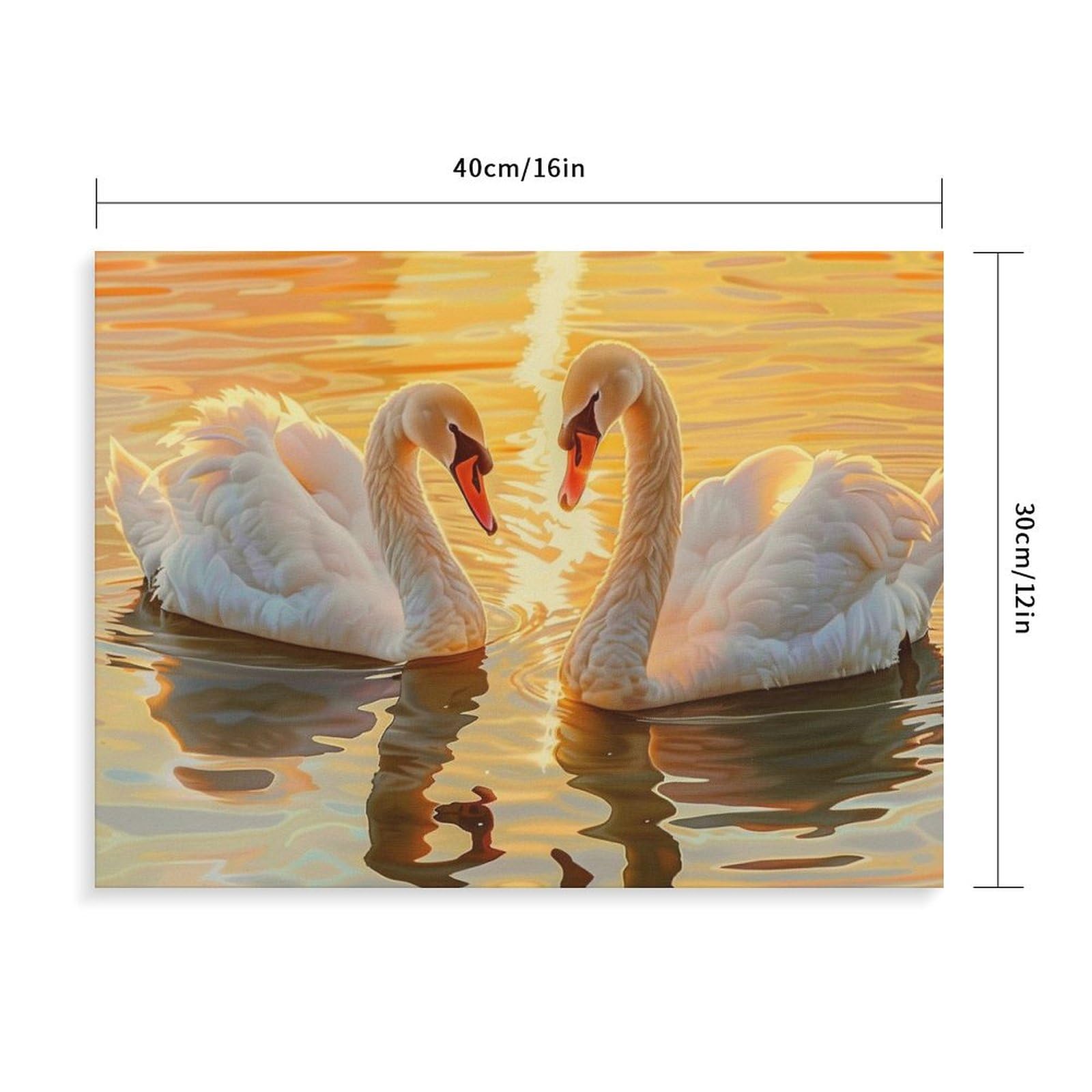 Amazon | 夕暮れ時の湖にいる二羽の白鳥 数字キットによる絵画 数字