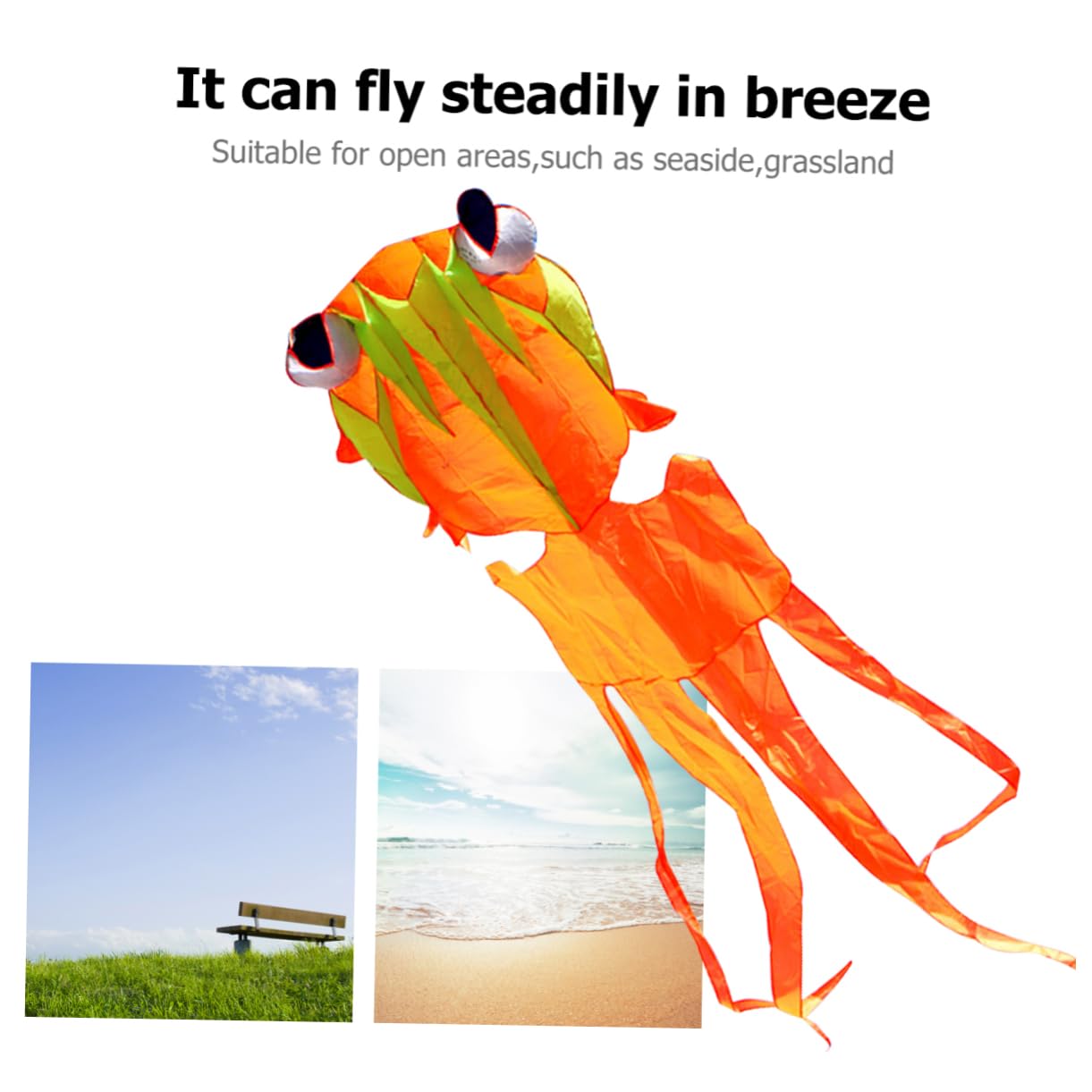 ERINGOGO Goldfish Kite Colorful Fun Animal Kite Easy to Fly Outdoor Sports Tool for Adults for Beach Trips and Family Activities