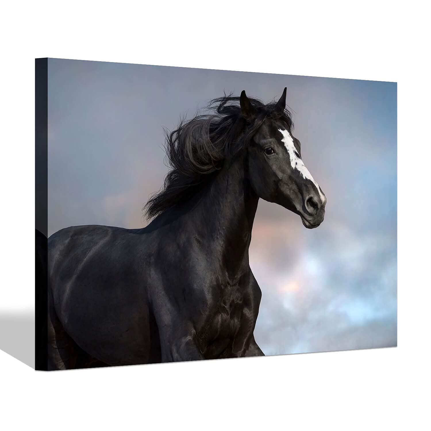 SD SOFT DANCE Black Horse Picture Canvas Art: Black Horse Painting Print Artwork Wall Art for Office ( 16" x 12" x 1 Panel )