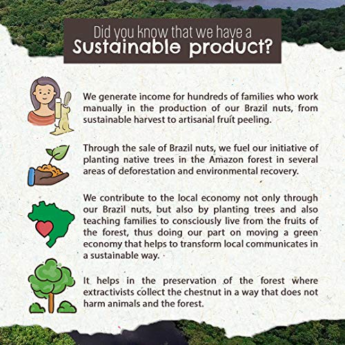 Raw Brazil Nuts - (4.4oz - 125g) - Sustainable Harvesting, Certified Organic, Handpicked, Fresh, Whole, Jumbo Size, Unsalted Brazilian Nuts - Non-Gmo, Keto Friendly, Vegan, Kosher