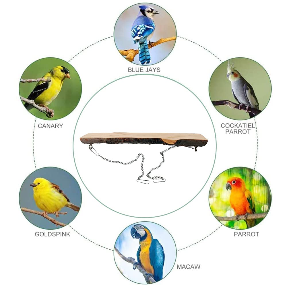 Uccello in Legno Naturale per Pappagalli, Giocattoli per Uccelli, Appeso Altalena Giocattoli, Trespolo per Pappagalli, Per Gabbie per Uccelli, Accessori per Parrocchetti, Parrocchetti, Canarini