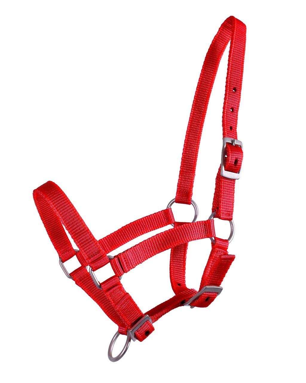 Cabezada para el potro QHP de nylon resistente ideal para el destete y manejo diario