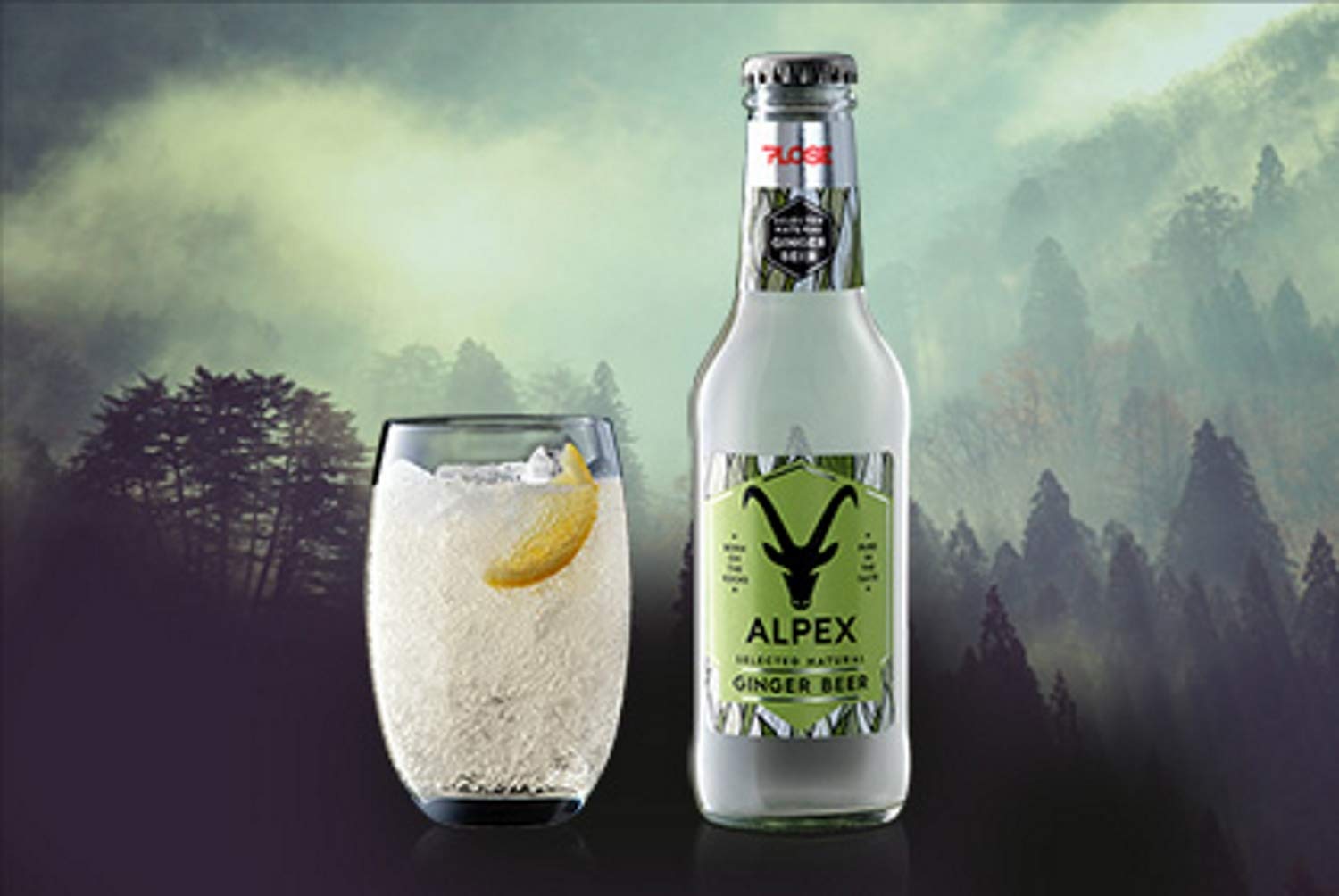 Selected Natural Ginger Beer 200 ml x 6 - Alpex