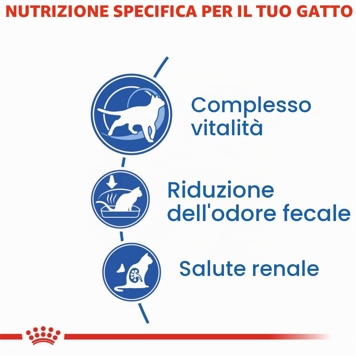 Royal Canin C-584995 Indoor +7-3,5 kg