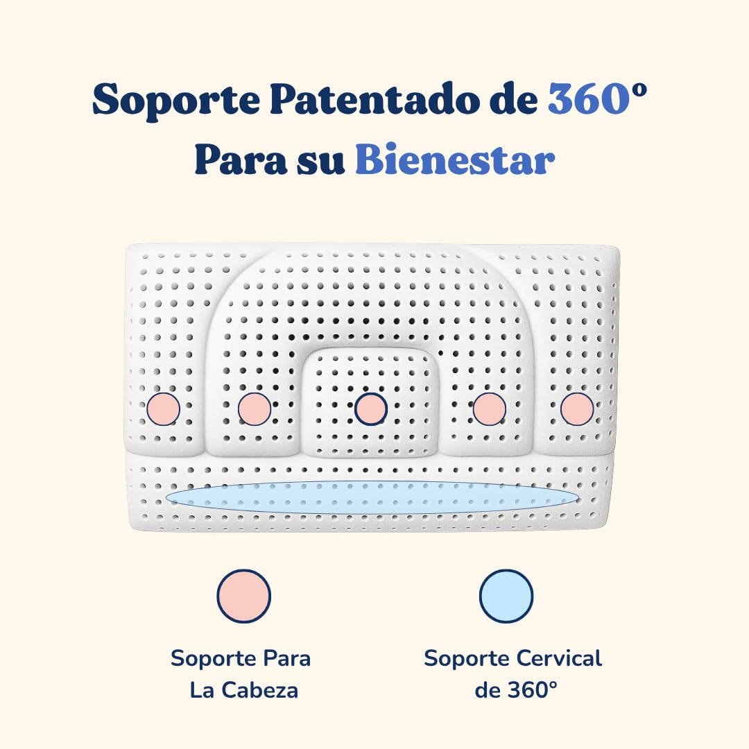 Almohada cervical de espuma viscoelástica – Almohada ortopédica patentada con dos alturas – Alivio del dolor de cuello – Transpirable, antiacaros, hipoalergénica, antirronquidos (Baja - 12 Cm) | Cojín ergonómico transpirable (70 x 40 cm) | Disponible en a