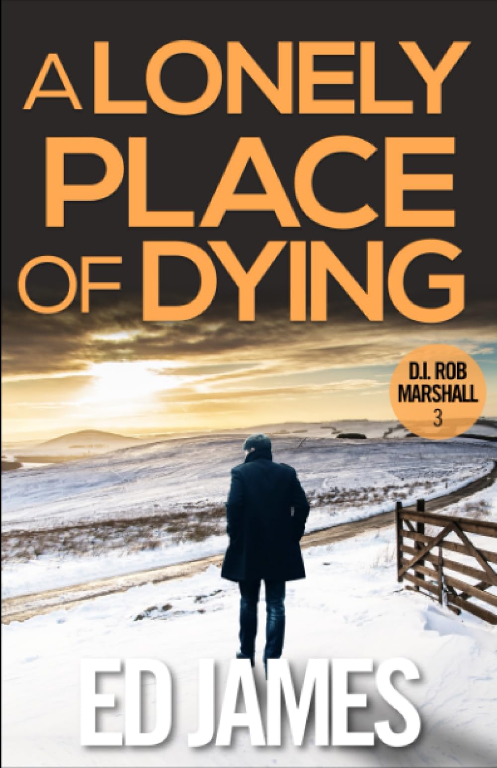 A Lonely Place of Dying: A hard-hitting Scottish crime thriller (DI Rob Marshall Scottish Borders Police Mysteries)