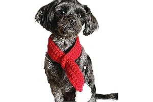 Red Velvet Hues Adorn Christmas Dog Scarf With Cascading Pom Poms