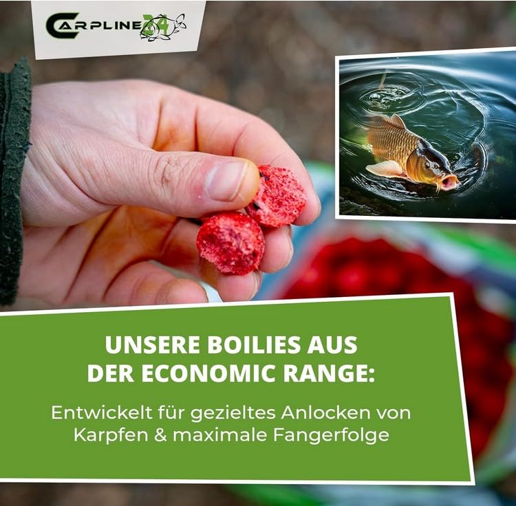Boilies Erdbeere Scopex - 10 kg - 20 mm - Karpfenköder zum Angeln, Futterboilies zum Anfüttern von Karpfen, Carp Baits, Angelfutter mit Lockstoff