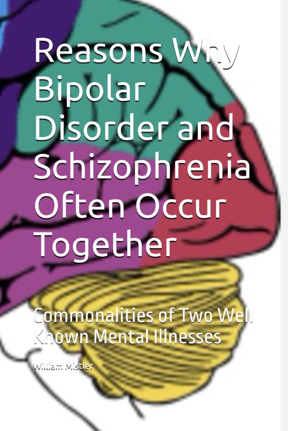 Reasons Why Bipolar Disorder and Schizophrenia Often Occur Together: Commonalities of Two Well Known Mental Illnesses
