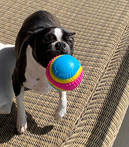 AVANZONA Hundeball. Sensorisches Spielzeug für Blinde Hunde. Sehen, Hören, Berühren, Riechen, Schmecken. Quietschball für Mittlere Große Hund. 8CM.