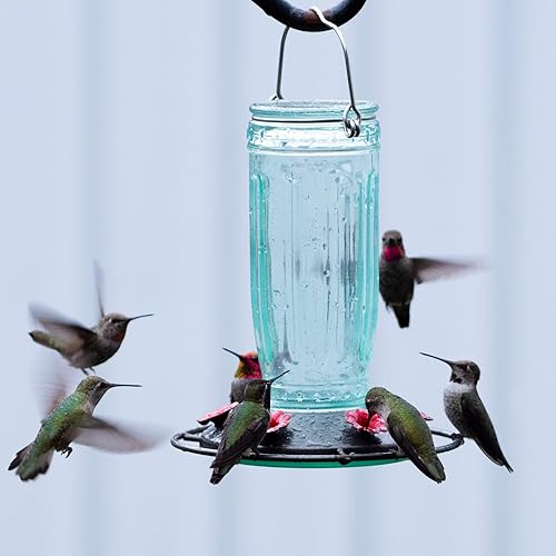 Miniatura 8 de Kingsyard Comedero de vidrio para colibríes para exteriores, comedero para pájaros silvestres con 6 puertos de alimentación para colgar para jardín