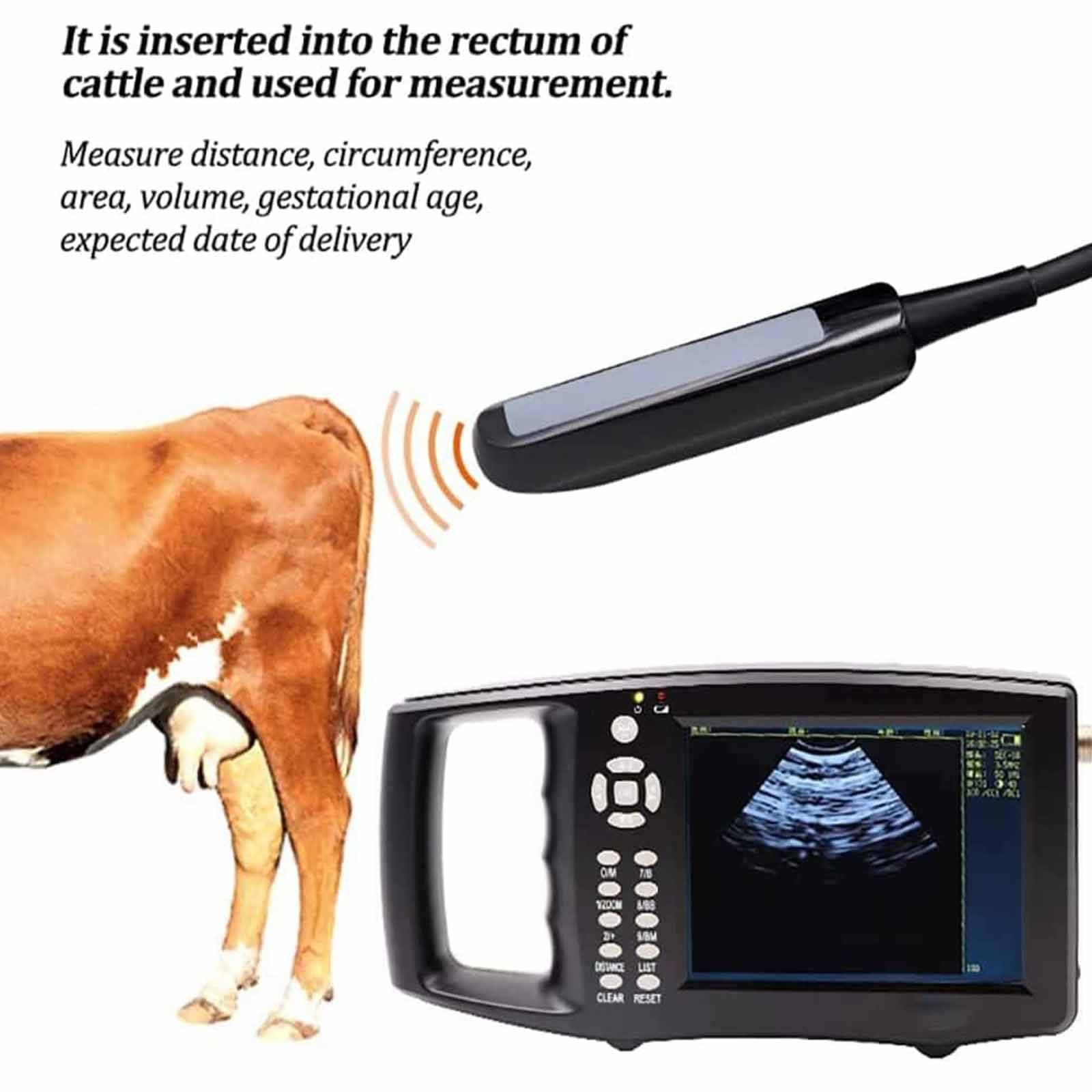 Kit D'échographie Vétérinaire,échographe sans Fil,Scanner à Ultrasons Vétérinaire Rechargeable pour La Grossesse,avec Sonde 6,5 MHz pour Les Grands Animaux comme Bovins,Chevaux,Vaches