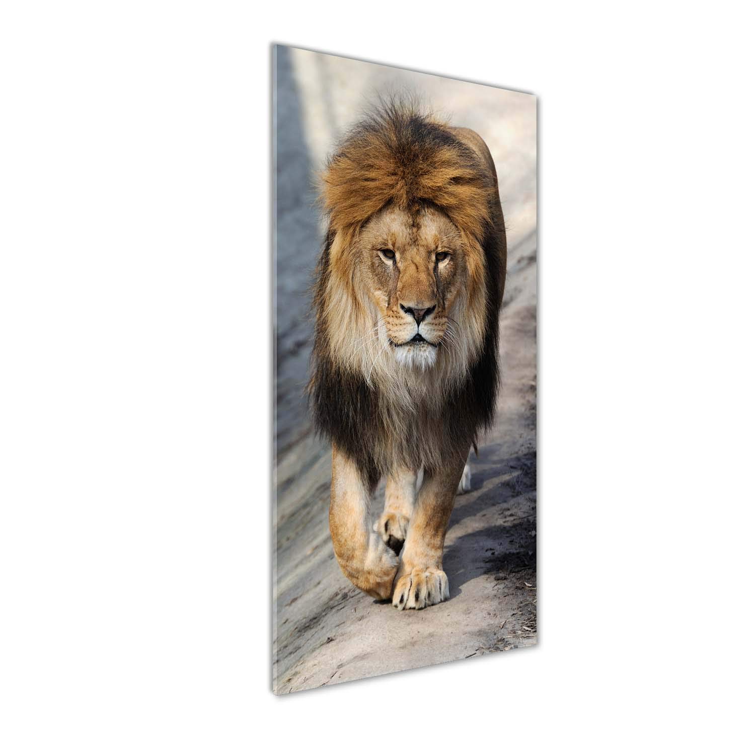 Tableaux pour la mur lion en verre acrylique 50x125 cm pour salon moderne