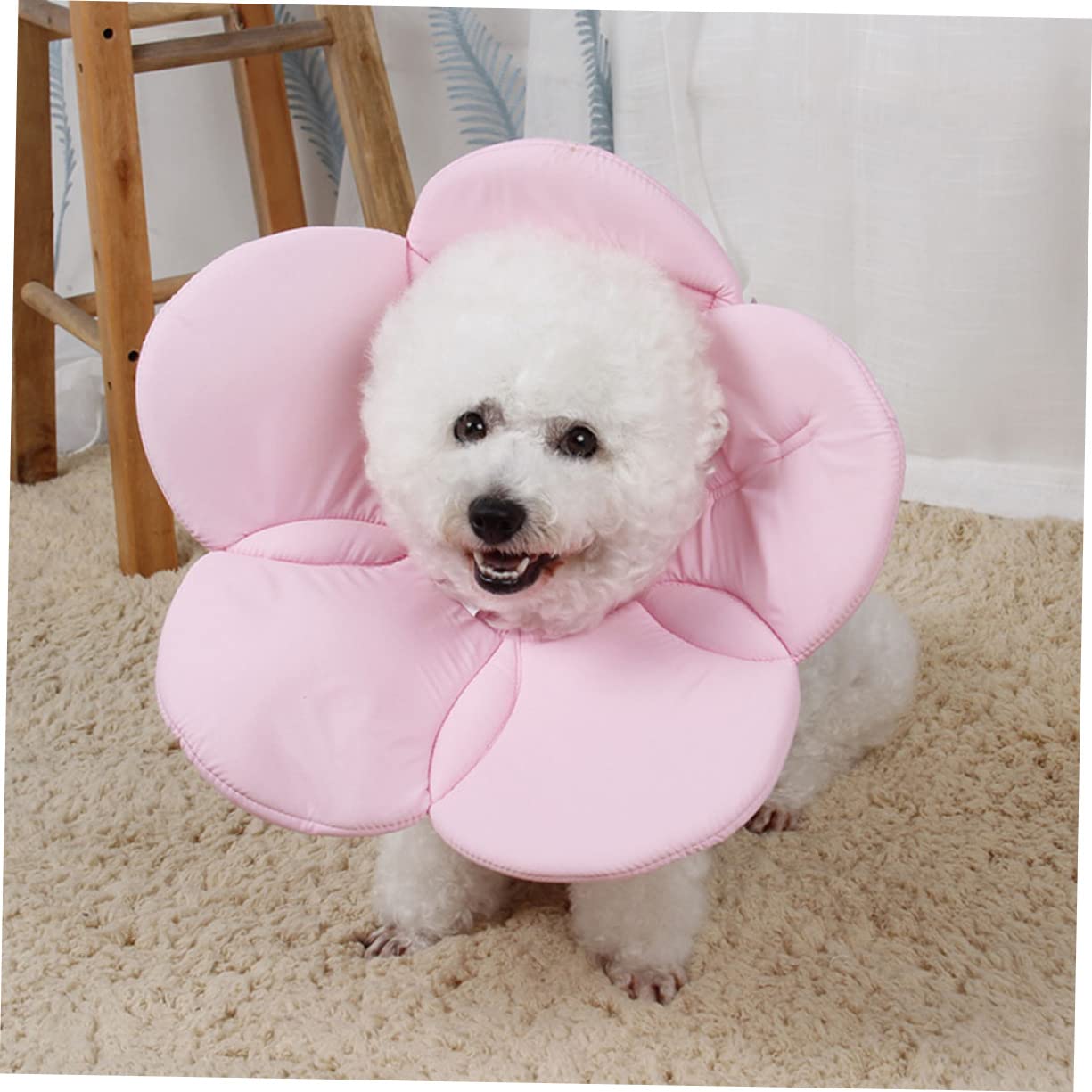 Toddmomy Collier Élisabéthain Forme De Fleur pour Chiens Et Chats Collerette De Anti-léchage Rose