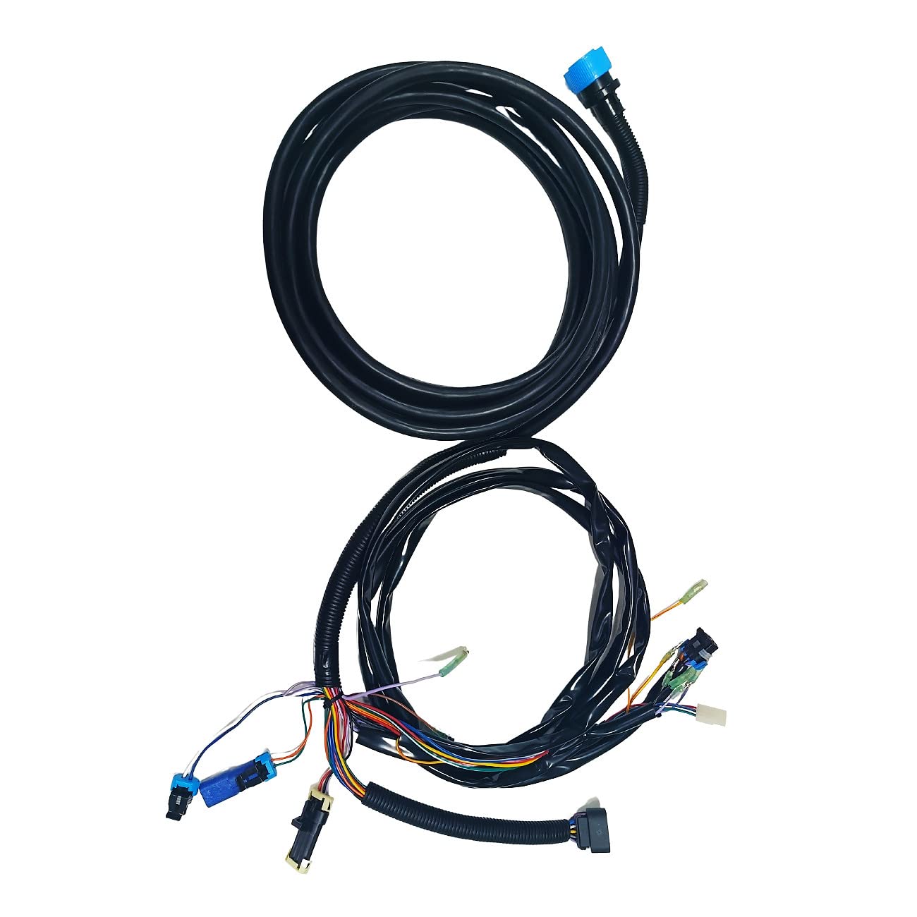 ロッド Cheiron ジャクソン ケイロン | ランブルフィッシュのブログ ☆ 今日の