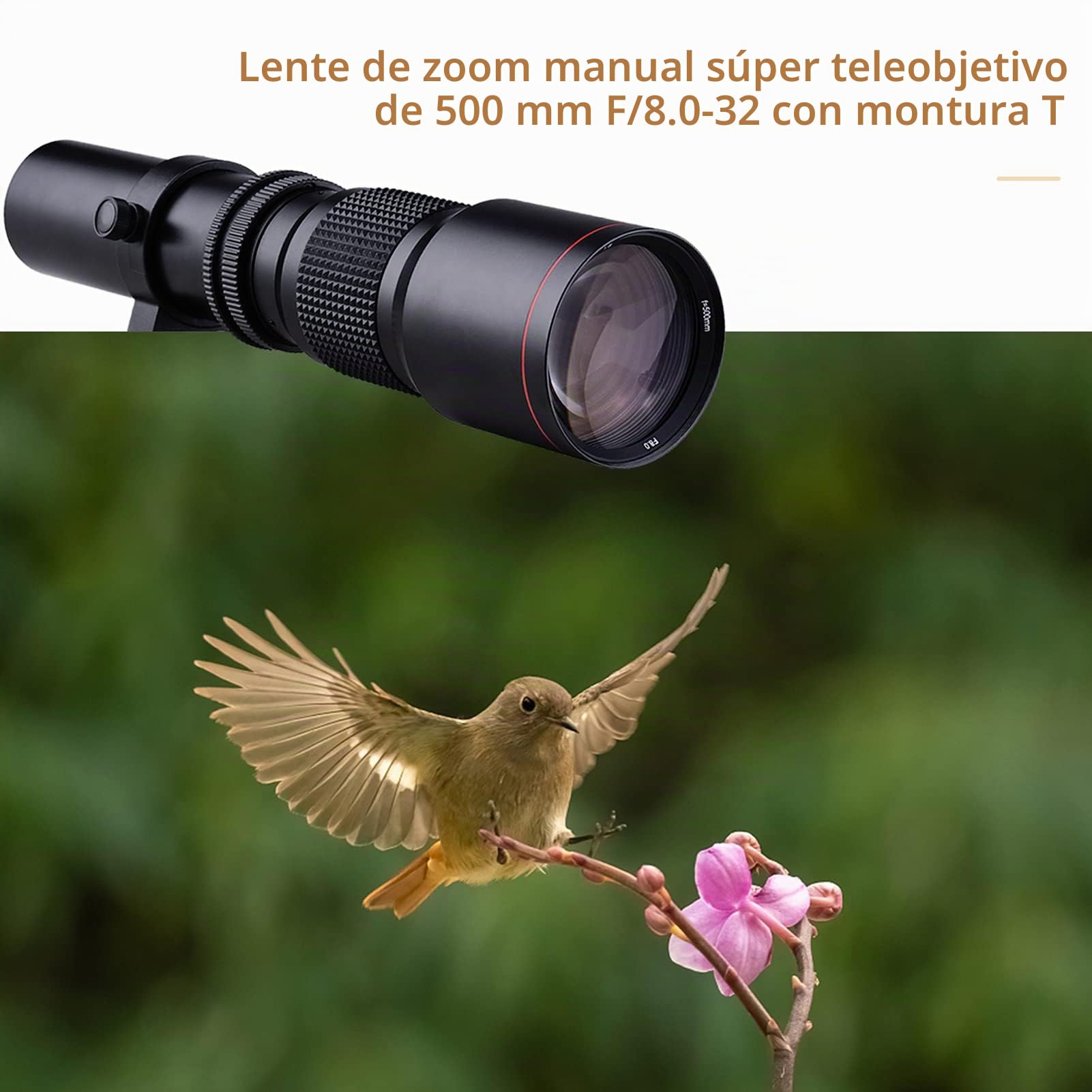 Andoer 500 mm 1: 8.0-32 Super teleobjetivo manual Zoom + T-Mount a F-Mount Kit de anillo adaptador para Nikon D3300 D3400 D3500 D5300 D5500 D5600 D610 D700 D7000 D7100 D72000 D750. D7500 D760 D800