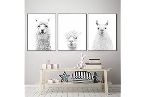 Animal Black and White Llama Wall Art Print
