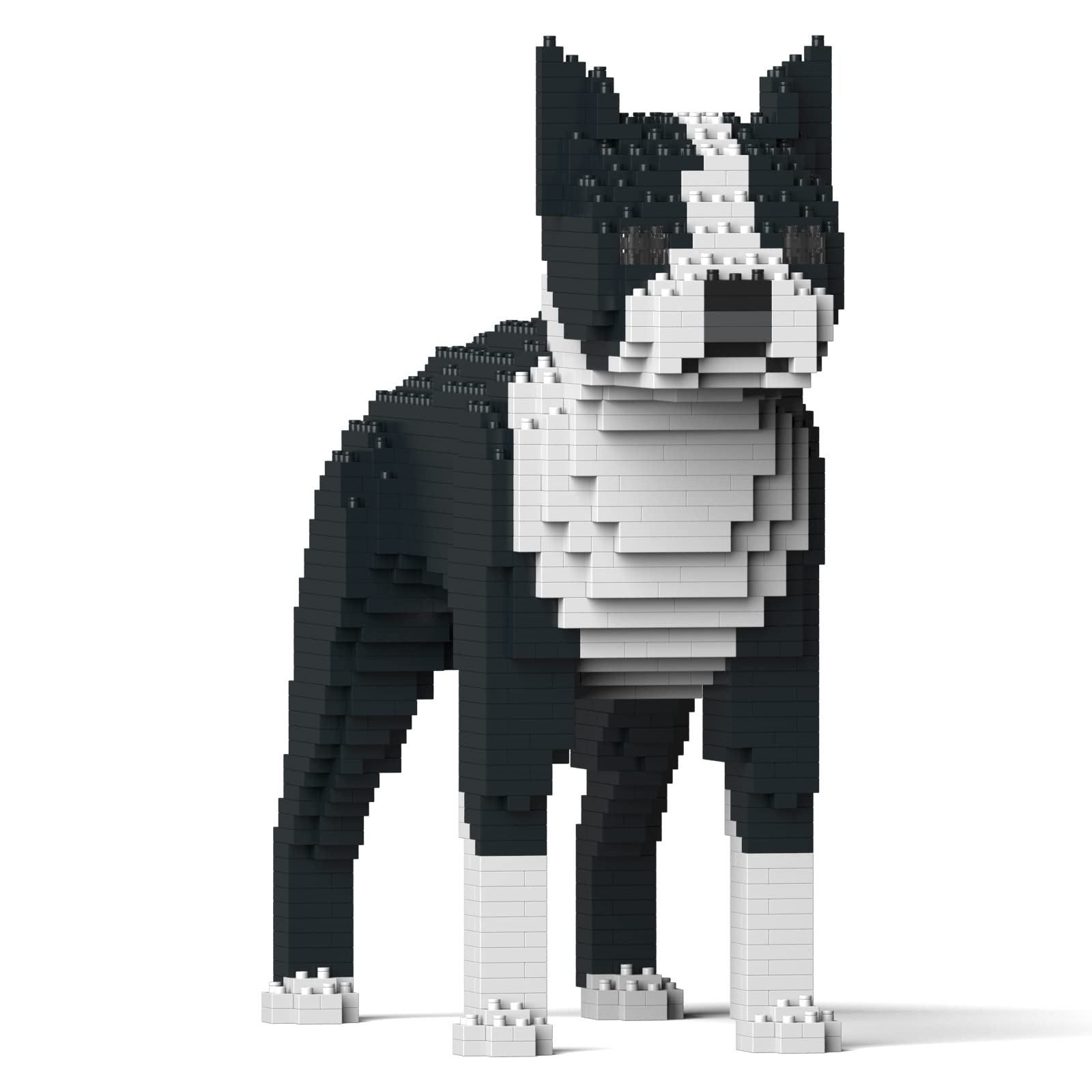 Amazon.co.jp: JEKCA ボストンテリア 01S-M01 | 犬 プラスチック