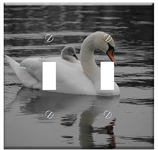 Switch Plate Double Toggle - Swans Cignet Baby Swan Swan Bird Family Nature
