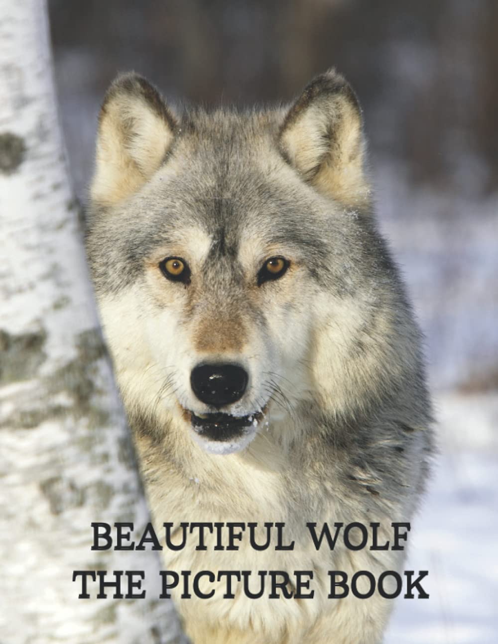 Beautiful Wolf: The Picture Book of Beautiful Wolf for Seniors, Dementia Adults with Alzheimer's, and Patients to Help Memory Loss.