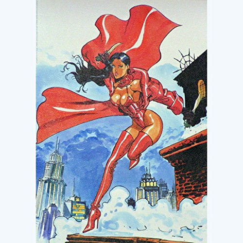 Affiche Meynet Rapaces 21x30 décorer un salon avec une bande dessinée de collection