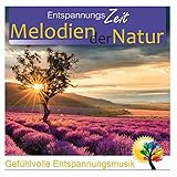 EntspannungsZeit: Melodien der Natur