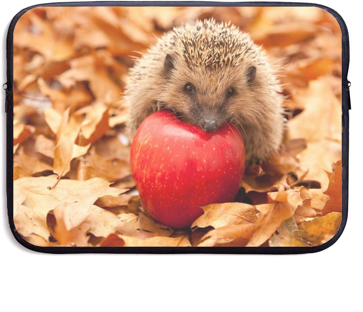 computer per manichini