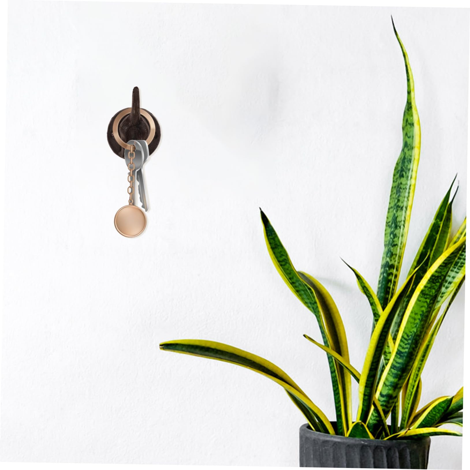MAGICLULU 4 Piezas Colgante De Pared Decorativo Con De Perro Ganchos De Pared Únicos Perchero Decorativo Gancho De Llave Gancho De Almacenamiento De Pared Colgador De Puerta Planchar