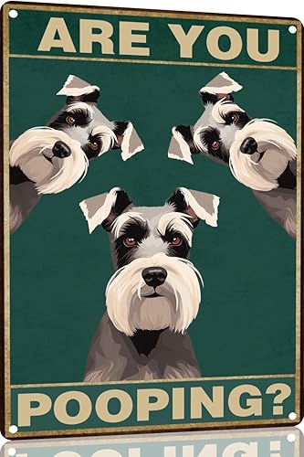 Vista 13 de Bichon Frise Dog - Cartel de 12 x 16 pulgadas con texto en inglés "Are You Pooping" para decoración de baño, póster de metal para perro amante