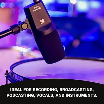 9月7日まで早期購入セール中 sE ELECTRONICS DynaCaster PXL_20230509_102841988-