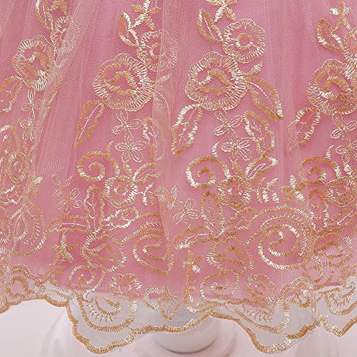 Lzh Girl's Ruffle Lace Backless Headwear,Bowknot Flower Pageant Party Wedding Christmas Dress, A -Bean Powder, 12-18 Months #TOP6