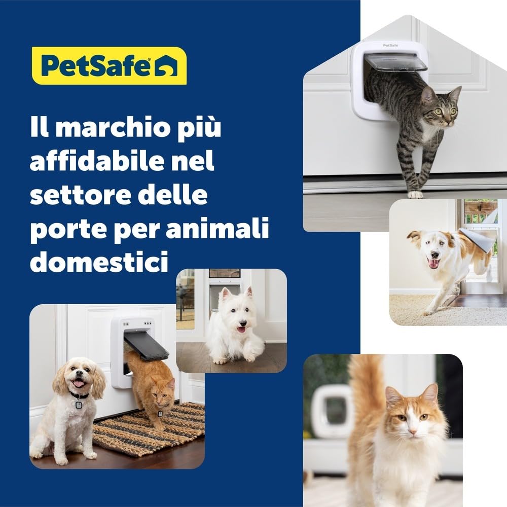 PetSafe Gattaiola a Blocco Manuale - Blocco a 4 Vie, Efficiente Energeticamente, Facile da Installare - Bianca