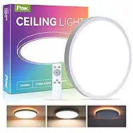 Pak 12 Inch LED Flush Mount Ceiling Light Fixture with Night Light, 24W Modern Ultra-Thin Ceiling Lamp with Remote, 2400LM Dimmable, 2700K-6500K Adjustable Color Temperature, for Bedroom Living Room