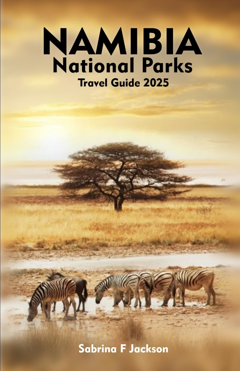 NAMIBIA NATIONAL PARKS Travel Guide 2025: A Local Manual to Exploring Etosha, Namib-Naukluft, Skeleton Coast, Bwabwata, and Ai-Ais/Richtersveld Wild Landscapes