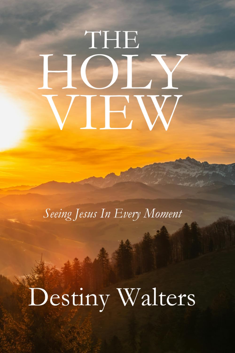 The Holy View: Seeing Jesus In Every Moment