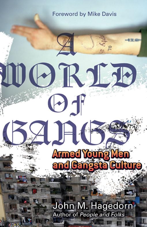 A World of Gangs: Armed Young Men and Gangsta Culture (Volume 14