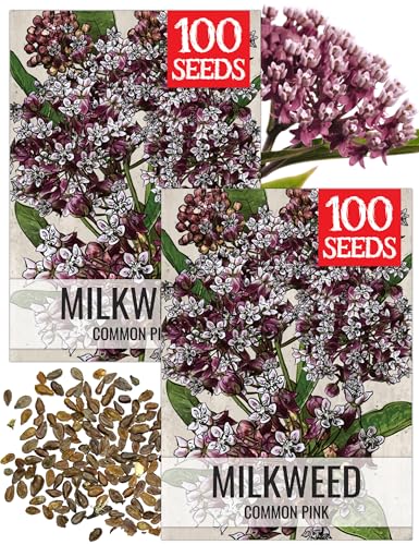 Image of Seed Needs Pink Common Milkweed Seeds for Monarch Butterflies 2 Packs