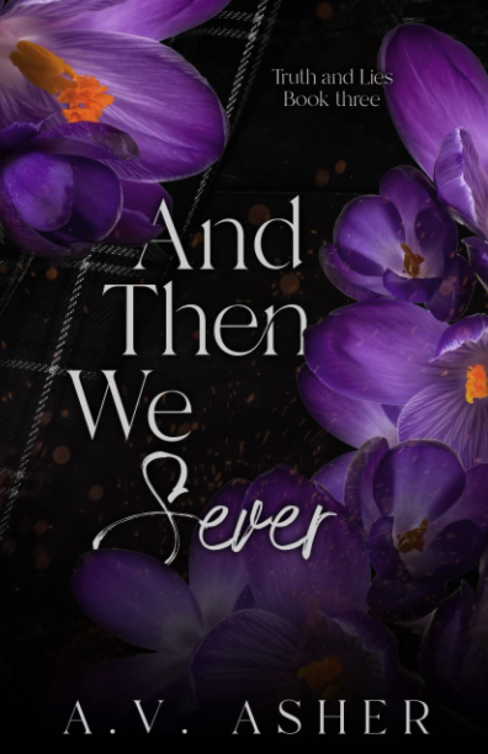 And Then We Sever: A Friends to Lovers Romantic Suspense (The Truth & Lies Series)