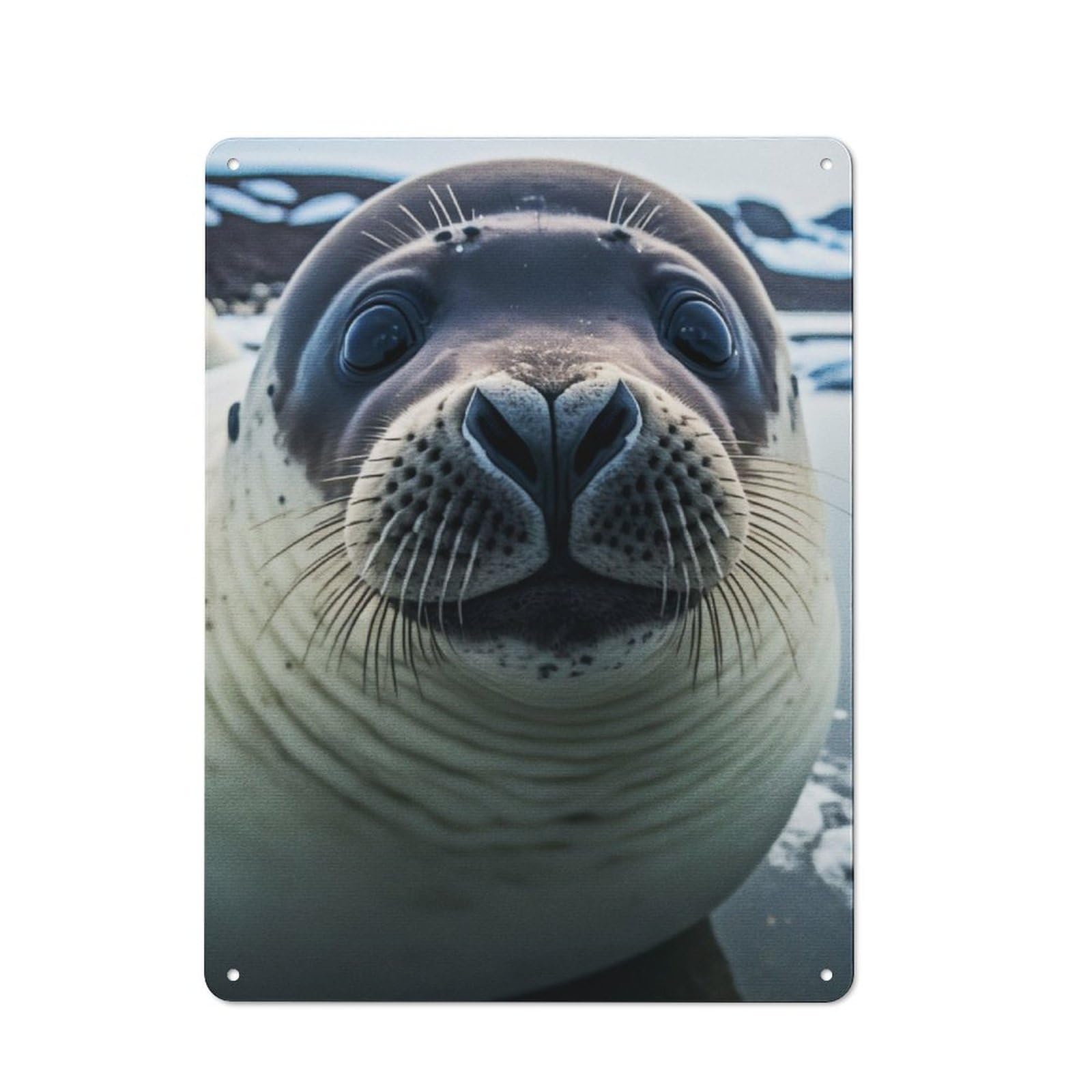 Junmoney Sea Lion Portrait Metal Wall Sign 40X30cm Featuring For Hallway Wall, Suited To Wall Display Collectors