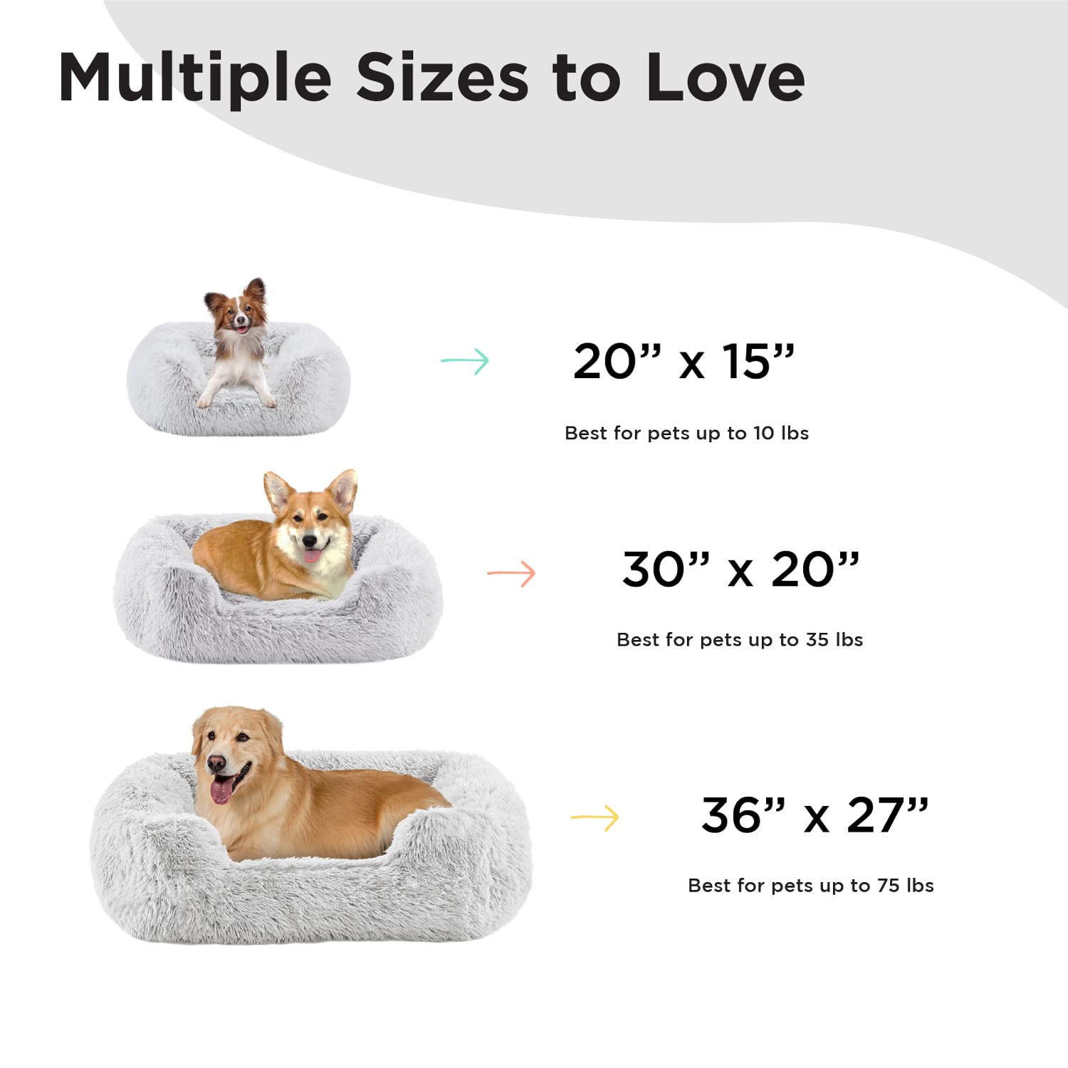 https://m.media-amazon.com/images/I/612FlHTP7oL.jpg