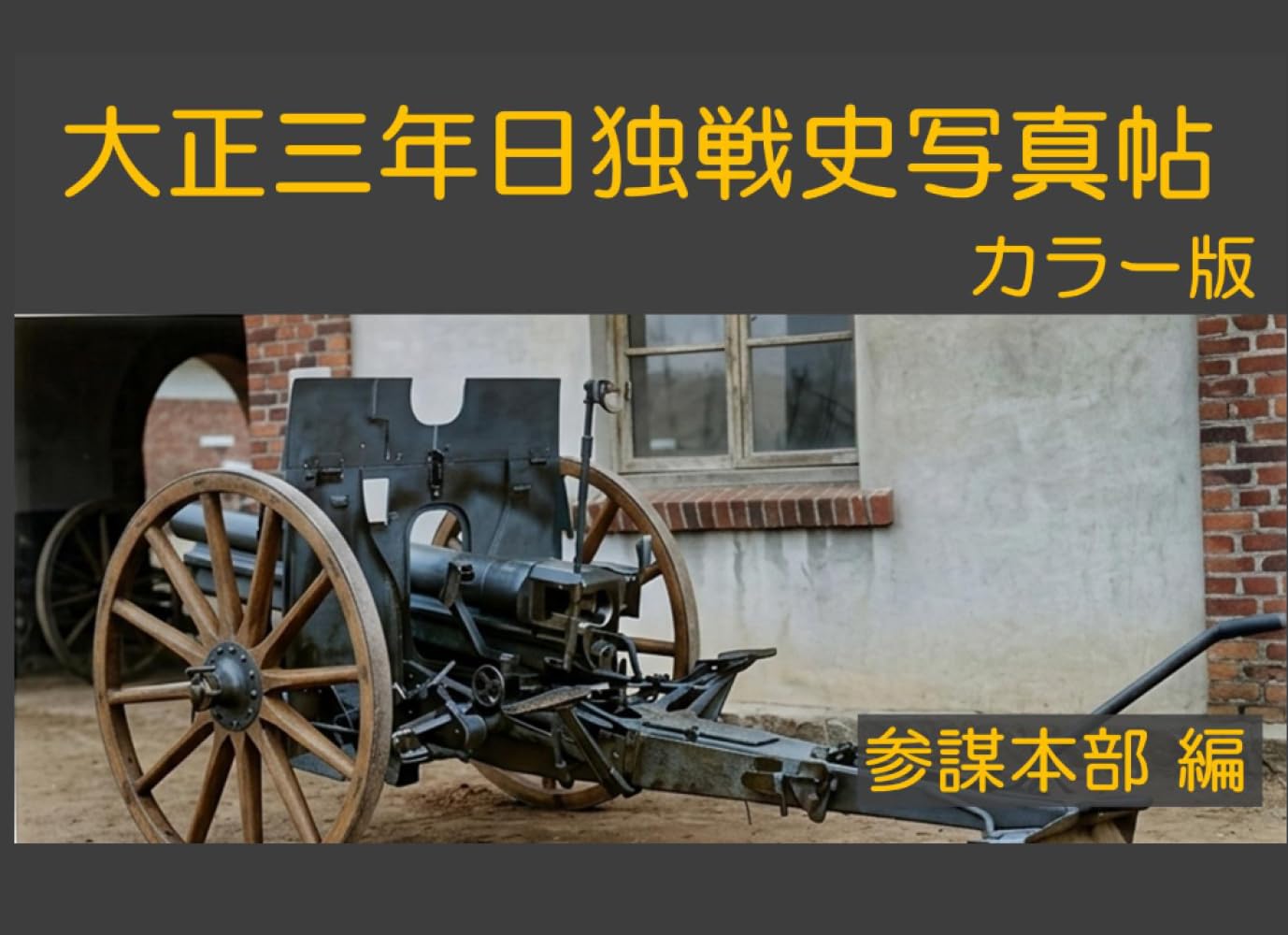 大正三年日独戦史写真帖 カラー版