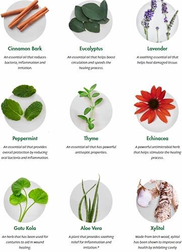 Miniatura 7 de Dental Herb Company - Essentials - Pasta de dientes sin flúor, protección bucal completa (4 onzas)