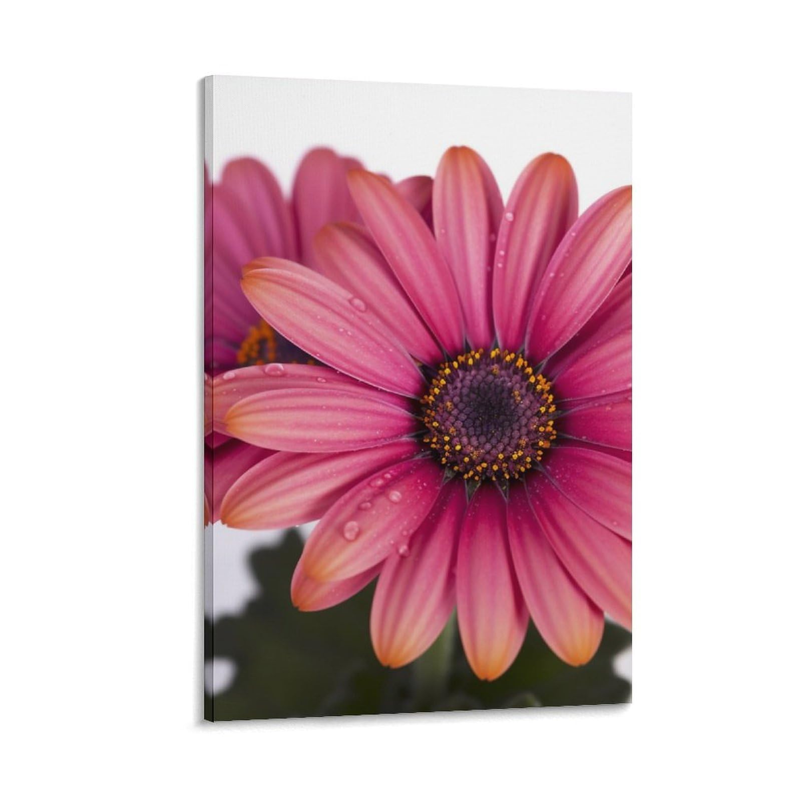 Canvas Wall Art for Living Room 16"x24" Modern Artwork Painting Pictures Hanging Canvas Prints Daisy Flower Aesthetic Wall Art for Bedroom Bathroom Office Wall Art Print Decor Daisy Flower Canvas Wal