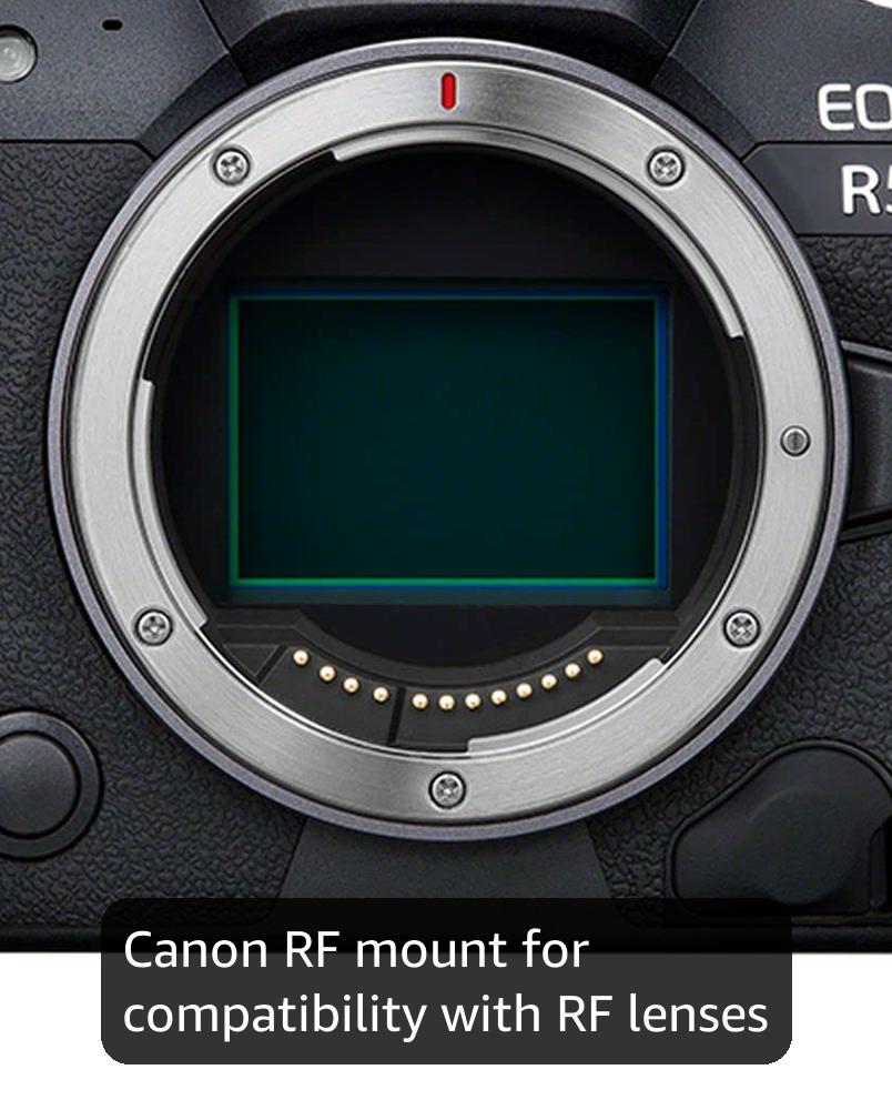 Amazon.com : Canon EOS R5 Mirrorless Camera (Body Only), Full