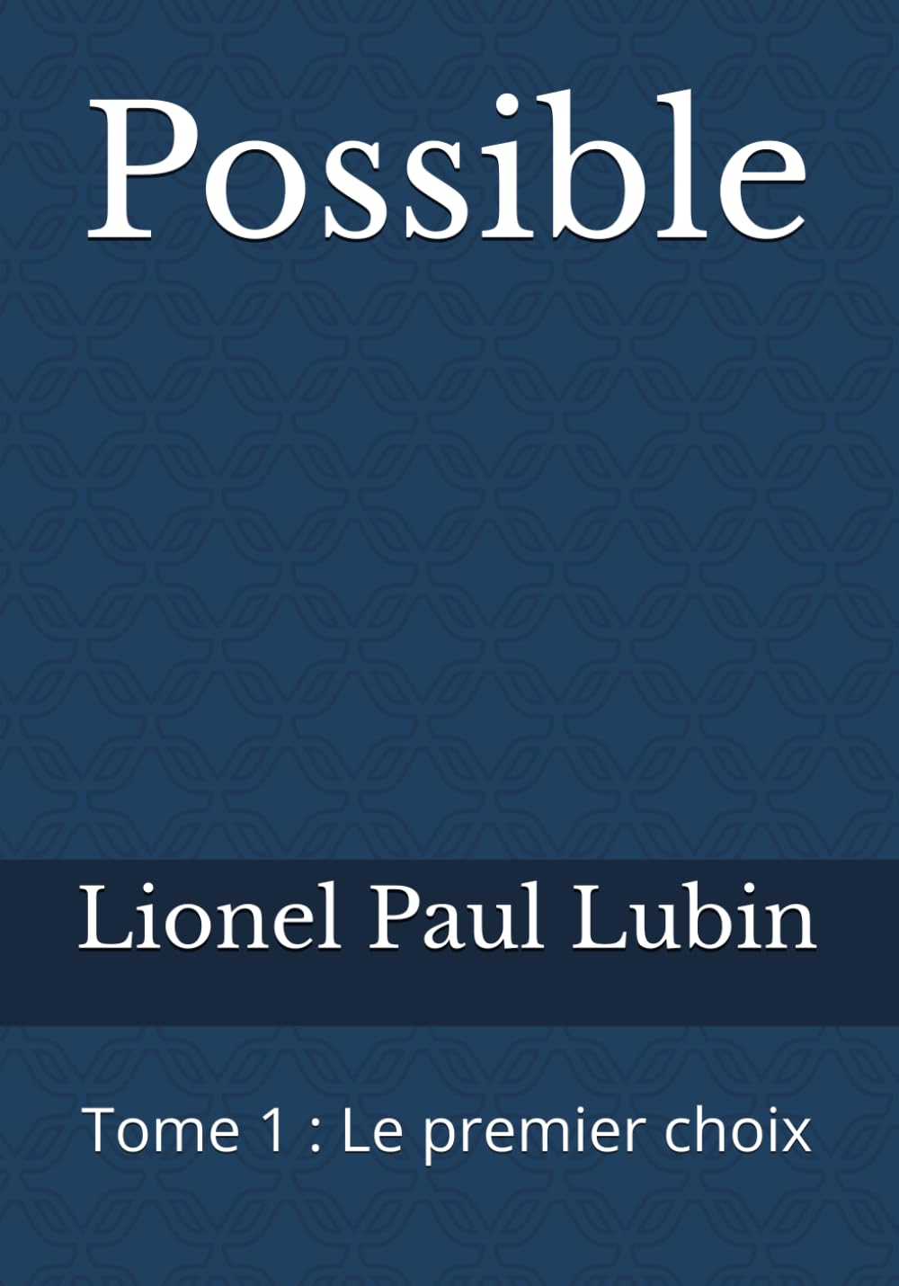Possible: Tome 1 : Le premier choix (Chroniques du destin)
