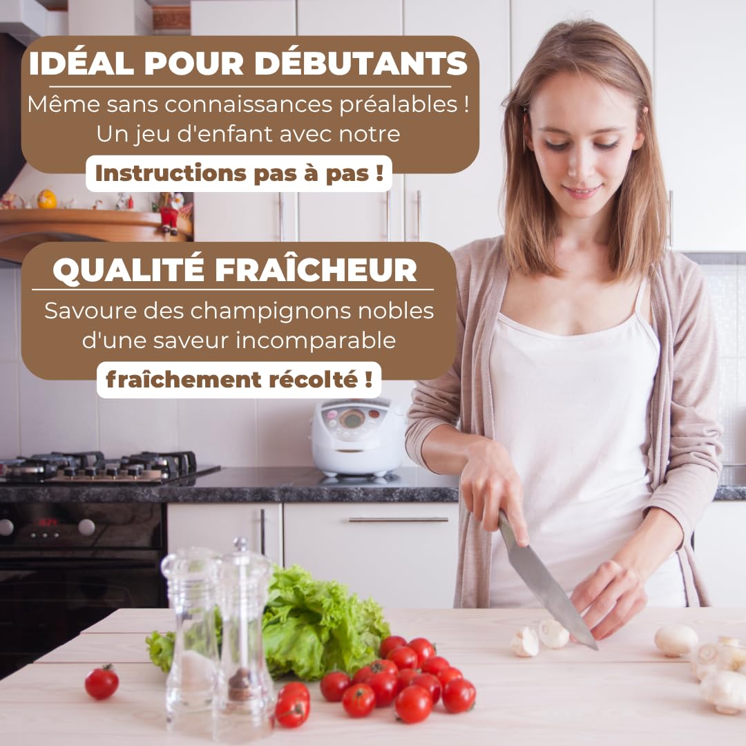 Hawlik Pilzbrut - Cheville Pleurotes en huître pour cultiver soi-même - 20 cheville avec mycélium de champignon